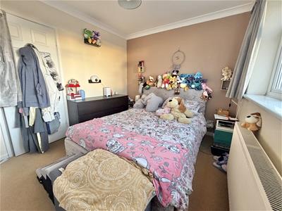 Picture 12